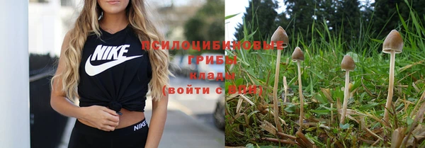 ПСИЛОЦИБИНОВЫЕ ГРИБЫ Балахна