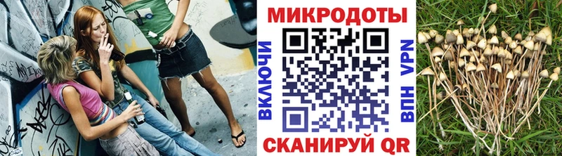 Псилоцибиновые грибы мухоморы  как найти закладки  Первомайск 